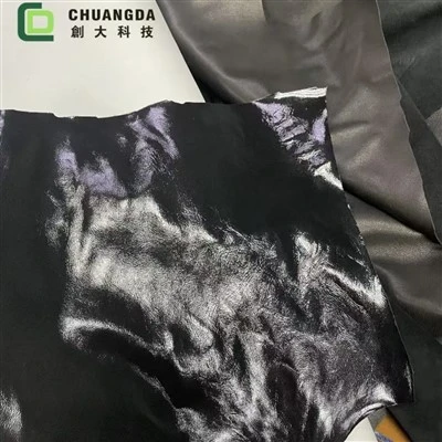 গ্লস বার্নিশ লেপ সাফ করুন